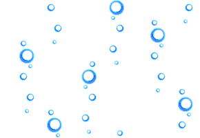 DiscreteRegularBeetle-max-1mb.gif